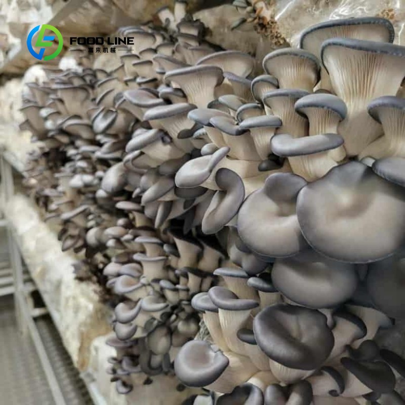 ฟาร์มคอนเทนเนอร์แบบโมดูลาร์สำห - Urban Farming Vertical บทวิจารณ์และราคา