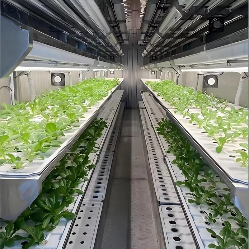 ระบบปลูกพืชอัจฉริยะในภาชนะแบบแ - Urban Farming Vertical บทวิจารณ์และราคา
